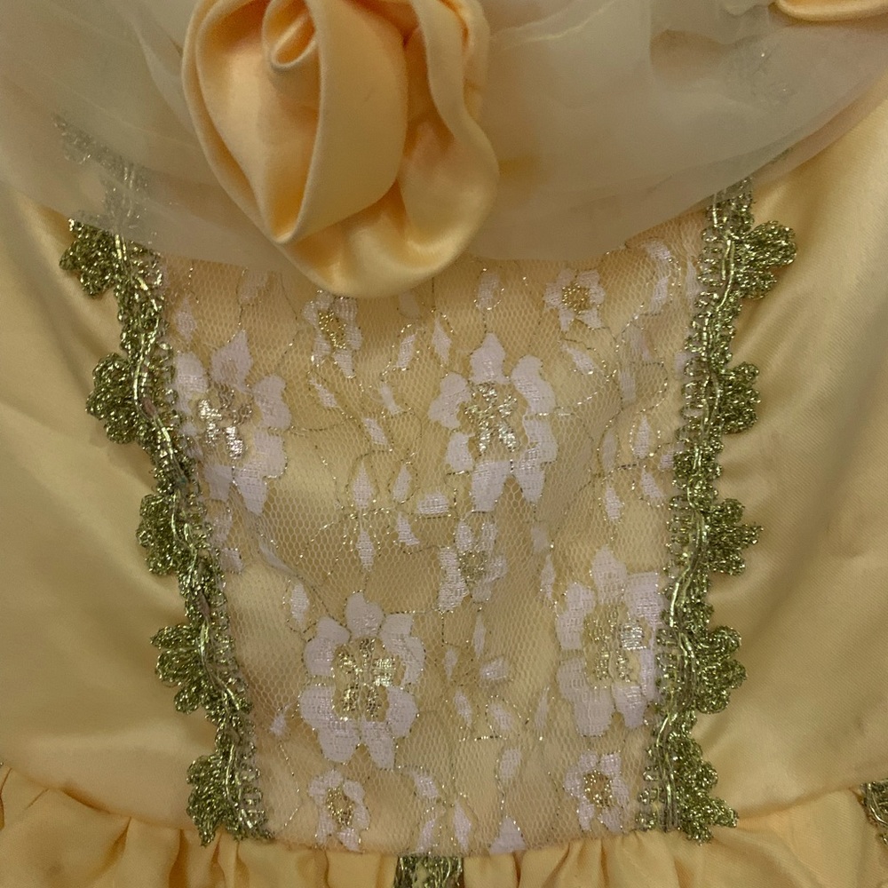 Belle Costume Beauty and the Beast